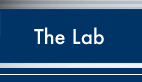 The Lab